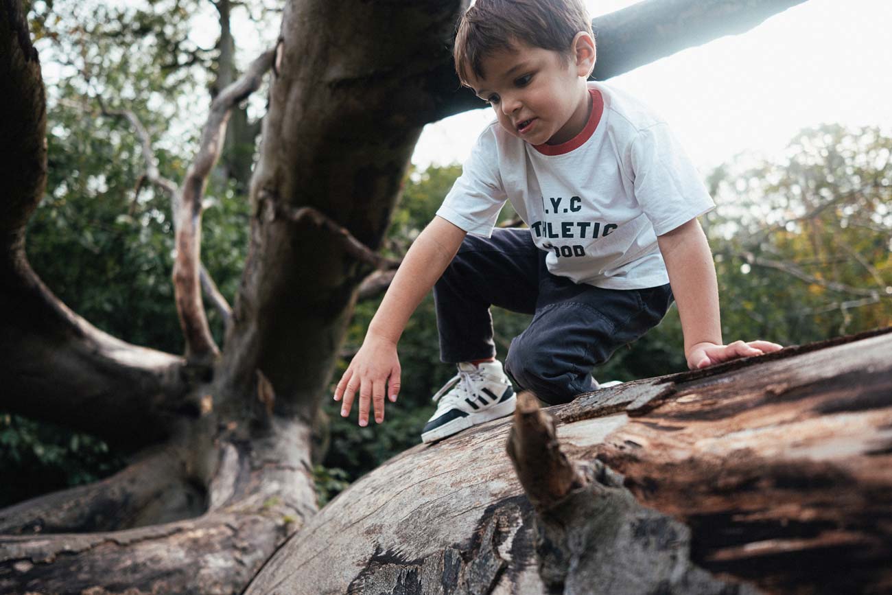 Boy-climbing-tree-Darley-Park-Derby Boy climbing tree Darley Park Derby