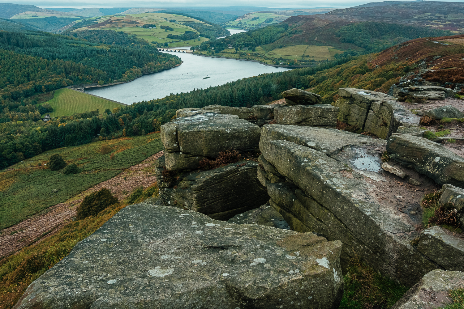 Blog - Jack & Sasha proposal shoot-003 svg+xml;charset=utf