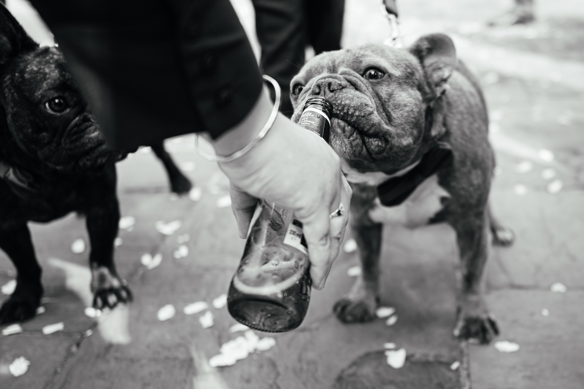 Best Wedding Photography 2024-056 svg+xml;charset=utf