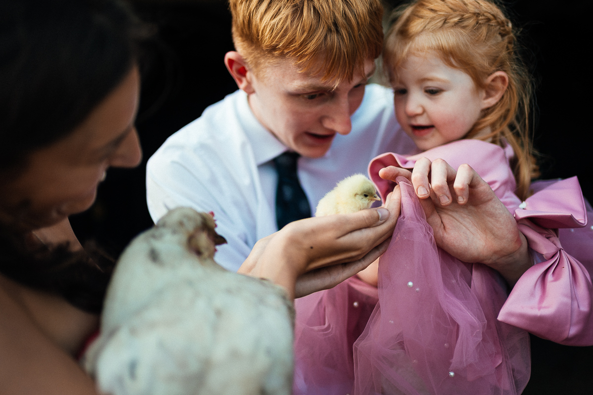 The Ultimate Derbyshire Garden Wedding? 12 Guests petting a newborn chicken
