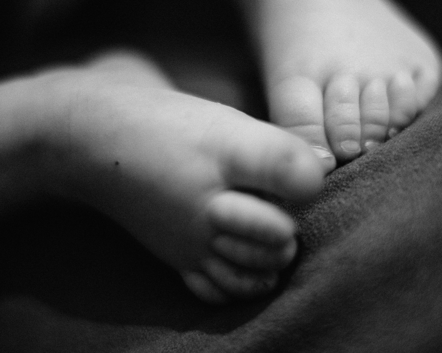 Analog family photography-005 svg+xml;charset=utf