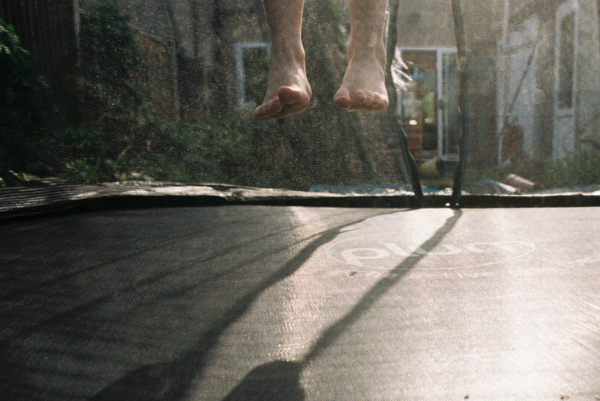 Analog family photography-019 svg+xml;charset=utf