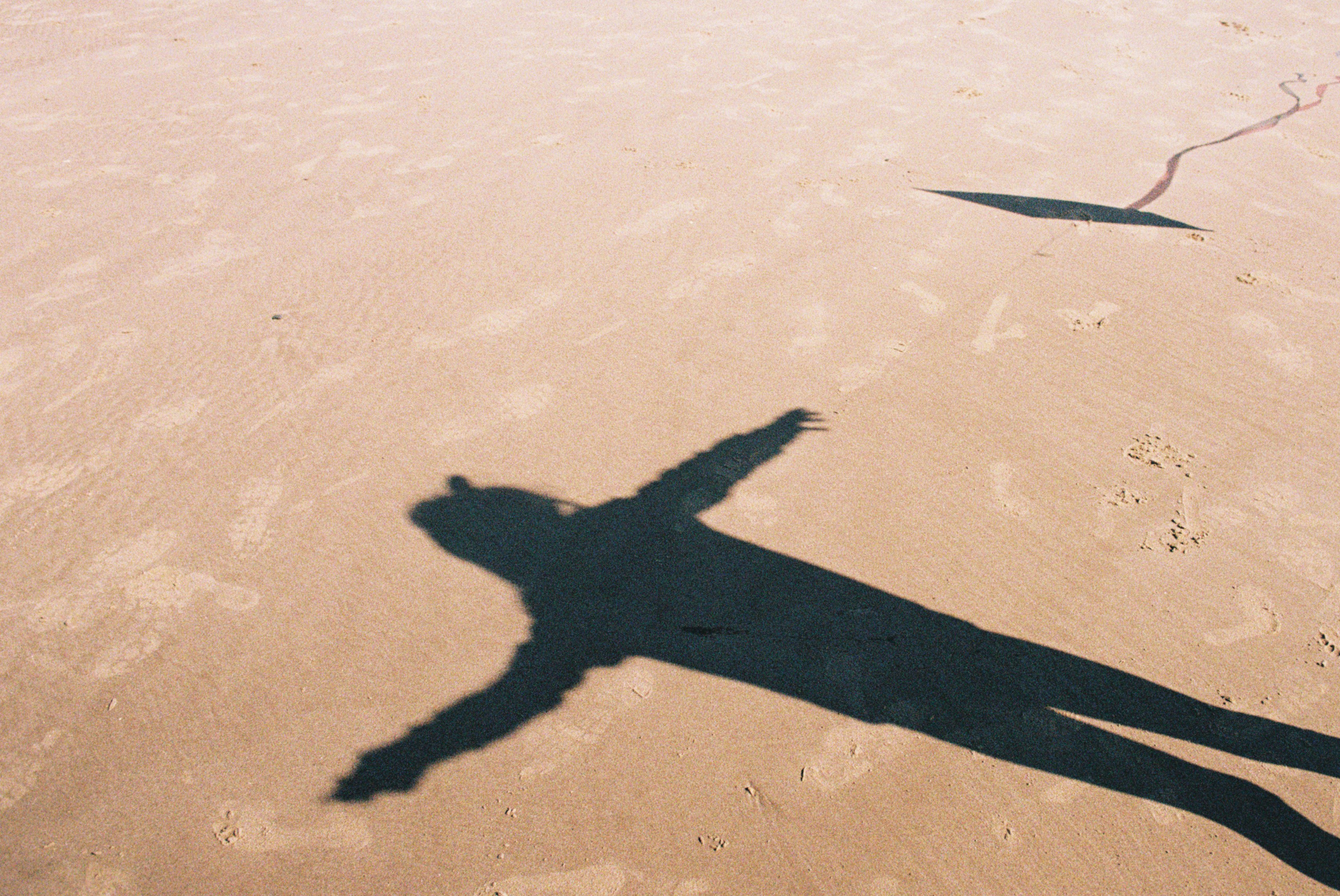 Analog family photography-021 svg+xml;charset=utf